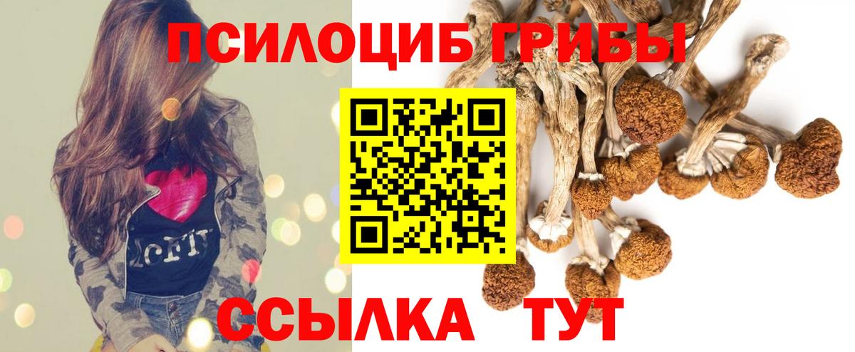 Галлюциногенные грибы Magic Shrooms  Вход с VPN  Псилоцибиновые грибы мухоморы  купить наркоту  Белово 